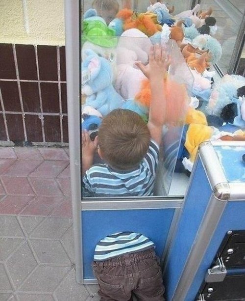 Делаю, что хочу! (16 фото)