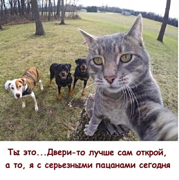 Фотоподборка пятницы  