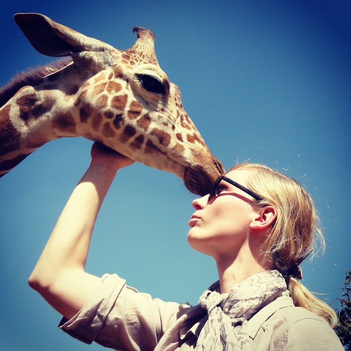 Медведь матрешка балалайка. Медведь откормленный. Мужик и медведь. Стереотип животных. Стереотип животных.