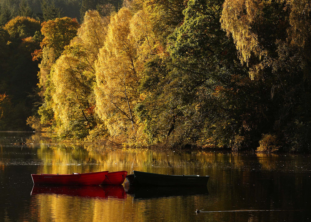 Осенняя река в Питлохри, Шотландия