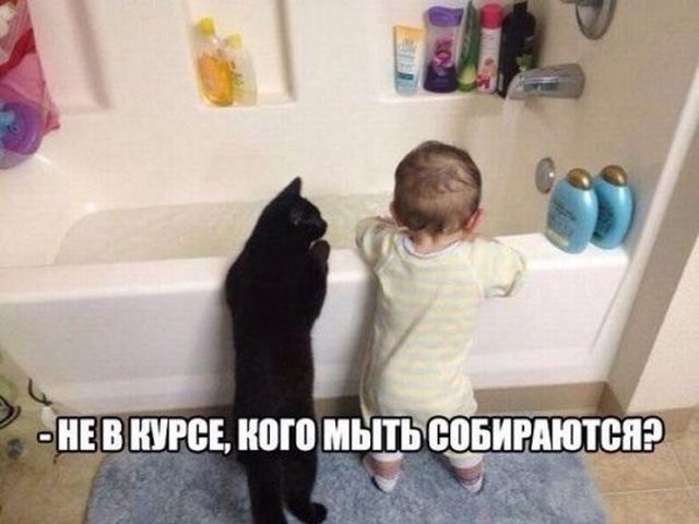 Простой юмор с просторов сети Простой юмор с просторов сети