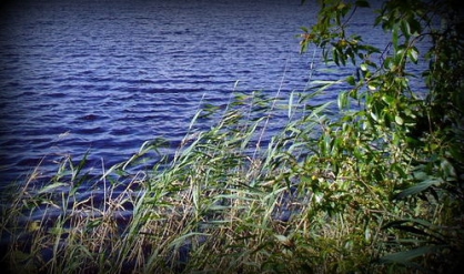 С начала купального сезона три человека утонули в водоемах Тверской области