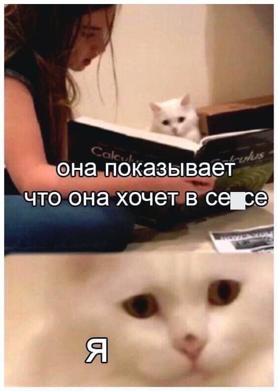 Мемы и приколы про отношения и "это" Мемы и приколы про отношения и "это" позитив,смешные картинки,юмор