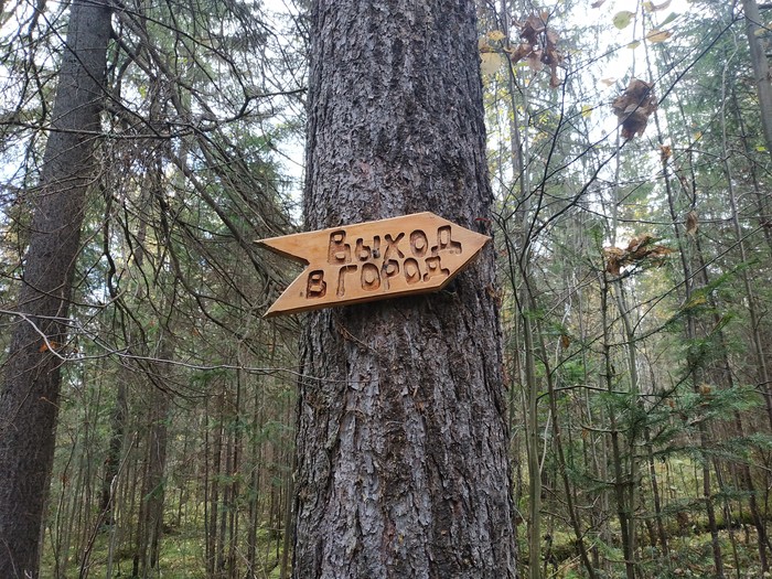 Юмор выходного дня юмор