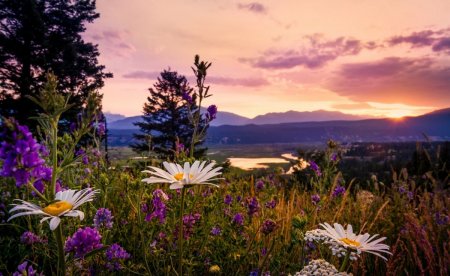 Классные и завораживающие фотографии природы 