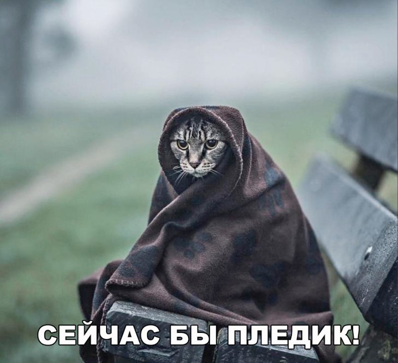 Веселые истории 