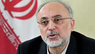 Глава иранской Организации по атомной энергетики Али Акбар Салехи. Архивное фото