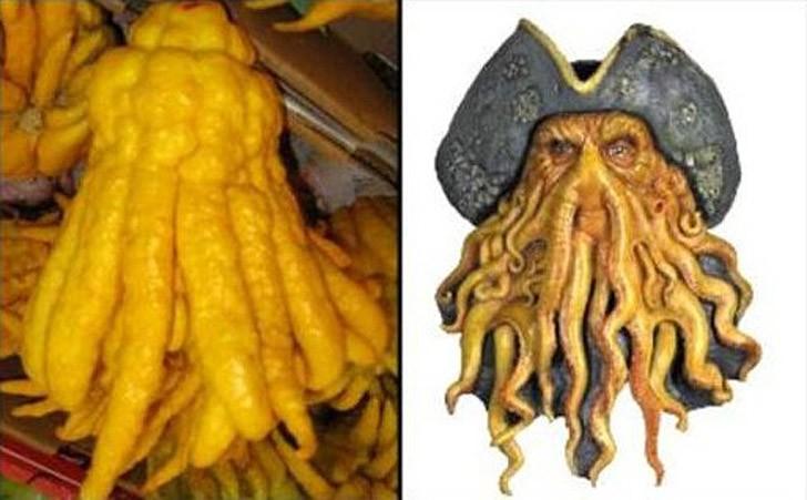 Самые жуткие растения в мире, которые растут, возможно, у вашего дома Самые жуткие растения в мире, которые растут, возможно, у вашего дома природа,растения,цветы