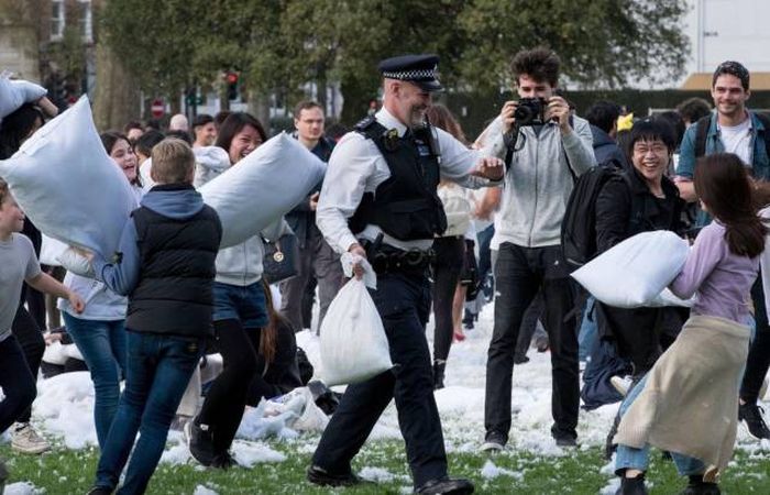 Подборка картинок. Дневной выпуск (53 фото)