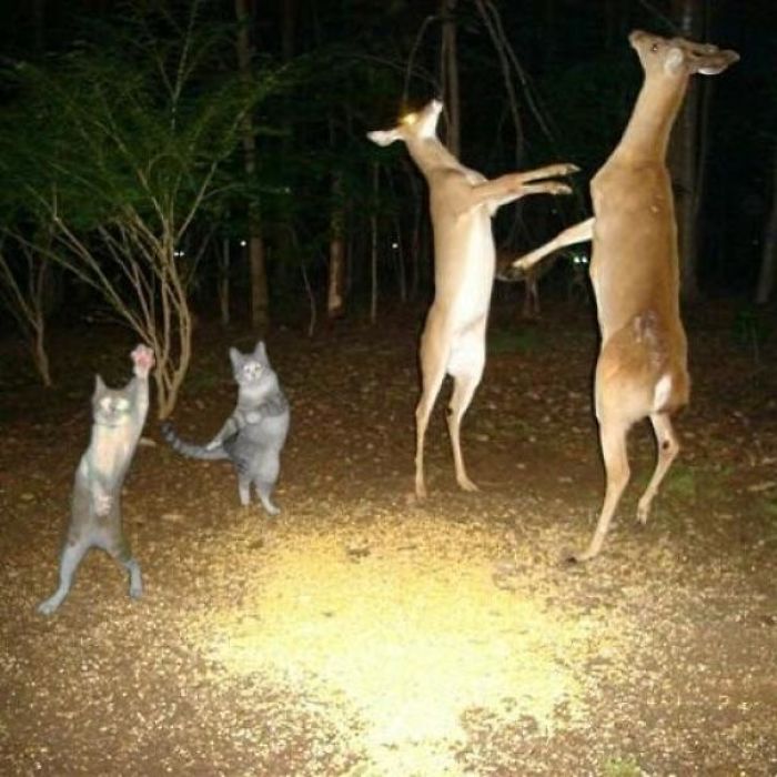 Hmmm