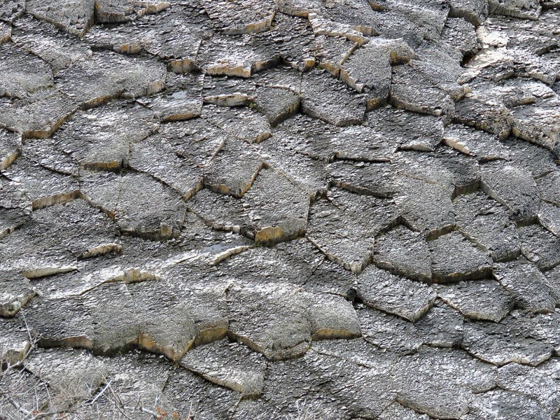 Кунашир: мыс Столбчатый Кунашир: мыс Столбчатый