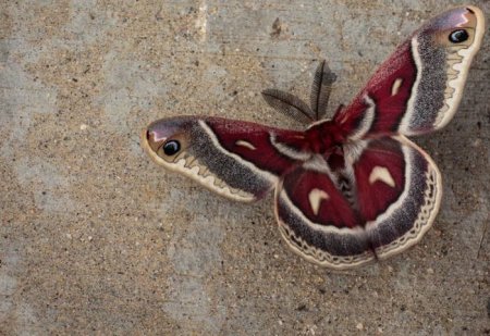 Прикольная фотоподборка (55 фото)