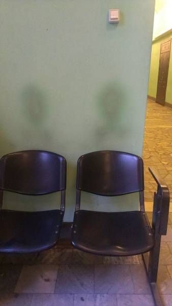 Классные и прикольные фотографии для хорошего настроения и улыбки 