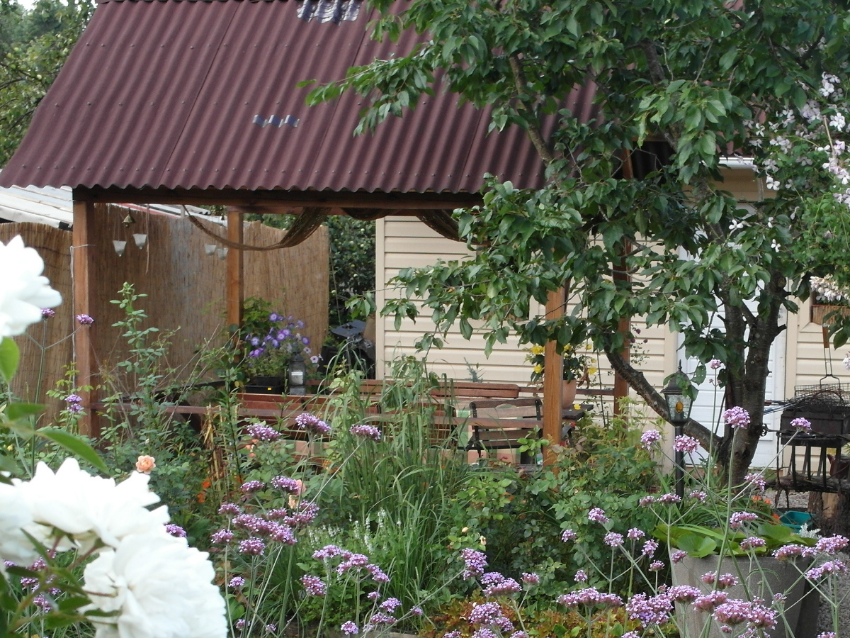 Личный ботанический сад на даче