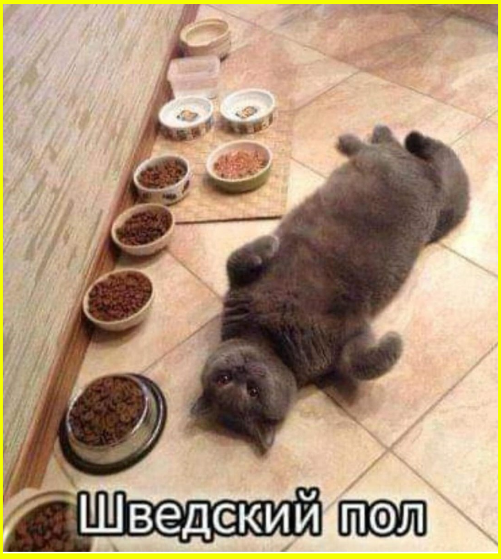 - Чувствуете? Выходными пахнет! 