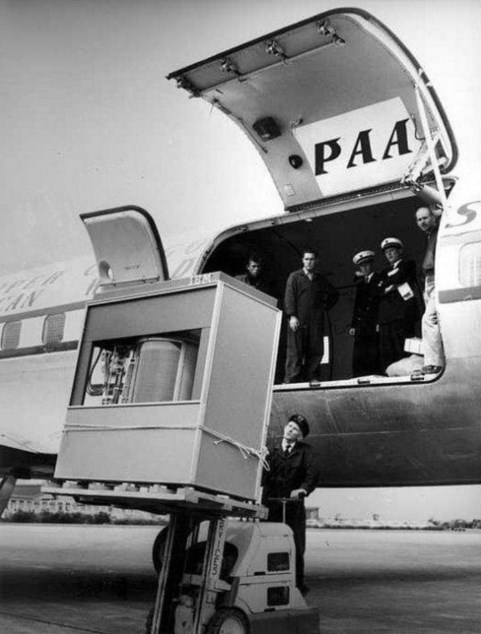 14 редких фотографий, которые вы никогда не увидите в учебниках по истории 14 редких фотографий, которые вы никогда не увидите в учебниках по истории белые страницы истории,всемирная история