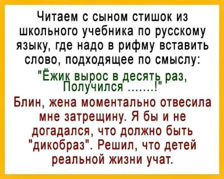 Муж запаролил комп, чтобы я с вами здесь не сидела... анекдоты,веселье,демотиваторы,приколы,смех,юмор