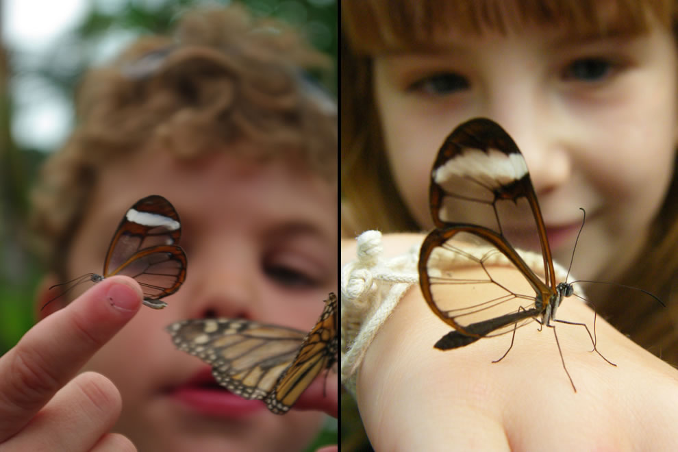 Ребят, зачем вы фотографируете воздух? Это какая-то игра? 