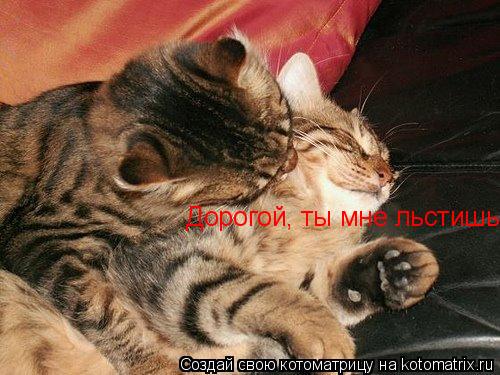 Уфф!!! Ну наконец-то! Котоматрицы великолепные, каждая с доброй улыбкой!!!