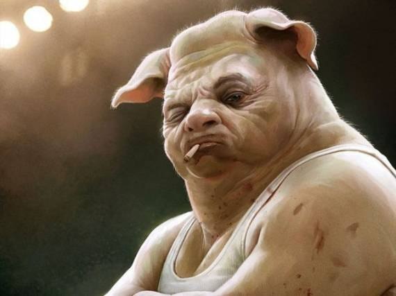 Картинки по запросу человек-свинья