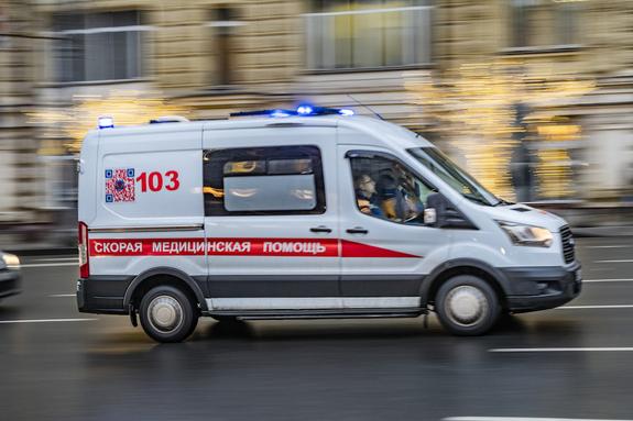 В Якутии стая бродячих собак напала на восьмилетнего мальчика