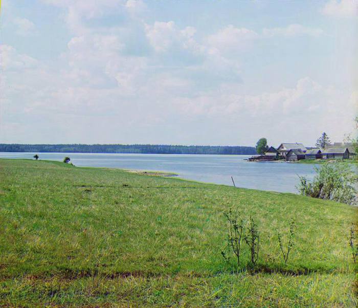 Выход Волги из озера Пено в районе деревни Изведово.