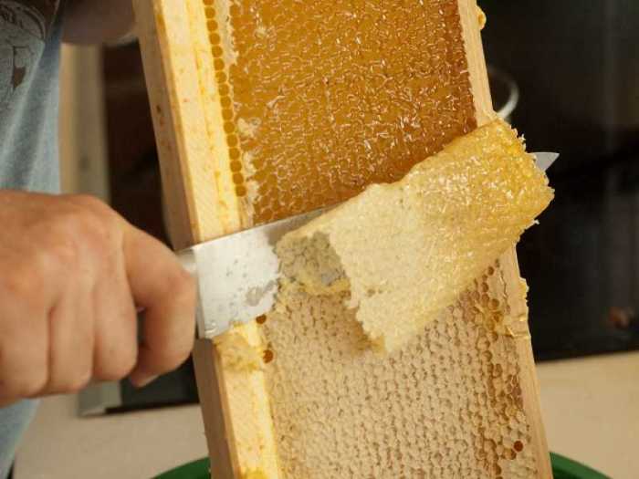 Можно ли во время поедания меда глотать сотовый воск мед, воск, еда, здоровье