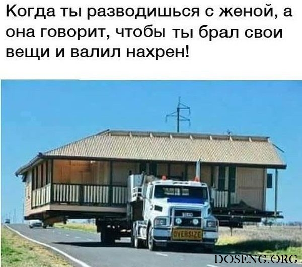 Прикольные картинки