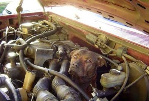 Классные фотоприколы! Классные фотоприколы! смешные картинки