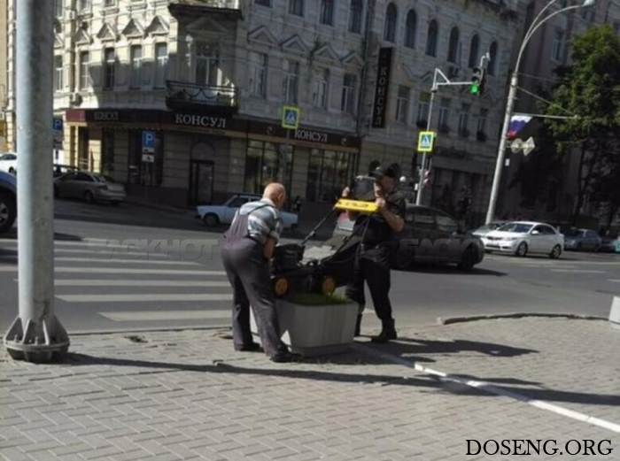 Прикольные картинки