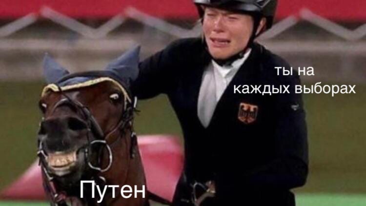 Лошадь отказалась ехать