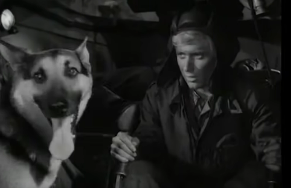 Герои сериала "Четыре танкиста и собака". 1966 год.