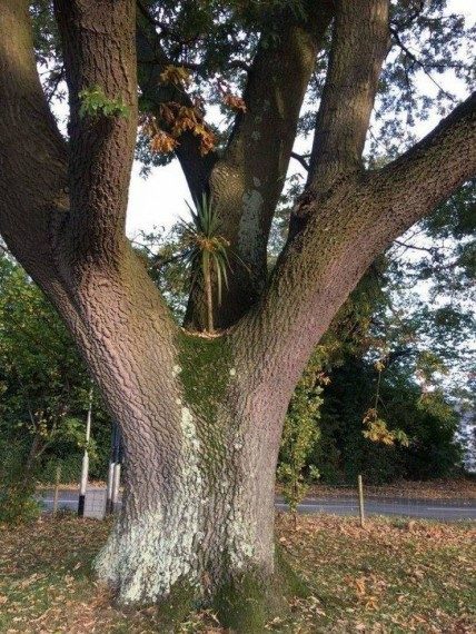 Картинки с позитивом Картинки с позитивом