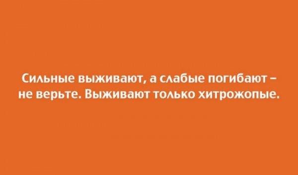 Если это не весело, значит вы делаете это неправильно! открытки, приколы, юмор