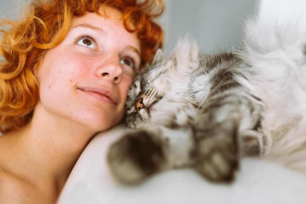 Почему мы не помним свои сны и когда это может быть опасно полезно, после, время, пробуждения, сновидения, вероятность, сразу, REMфазы, запомнить, человек, структуры, несколько, памяти, сновидений, сныфото, которые, сюжет, внимание, также, larisa