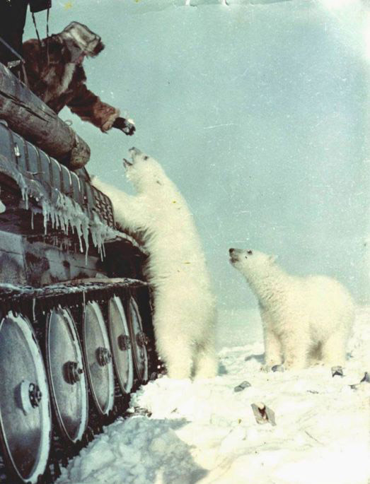 Подборка редких фотографий со всего мира. Часть 9 (85 фото)