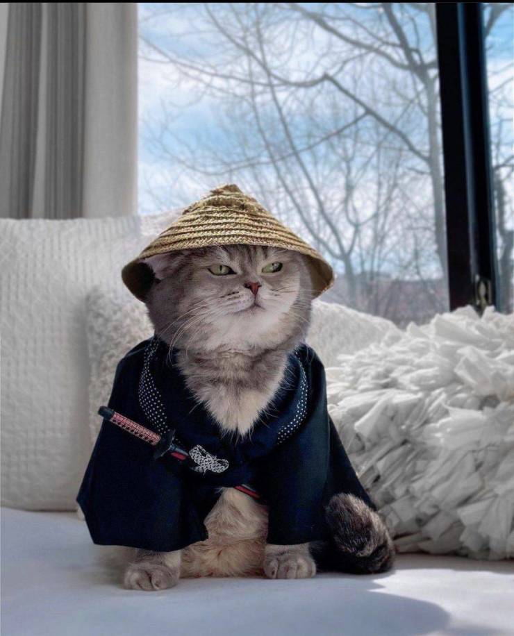 Подборка картинок. Вечерний выпуск Подборка картинок. Вечерний выпуск приколы,смешные картинки,юмор