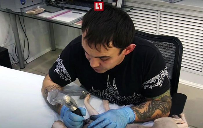 Екатеринбуржец сделал своему коту несколько тюремных татуировок