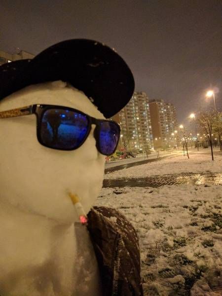 Прикольные картинки дня (50 шт)