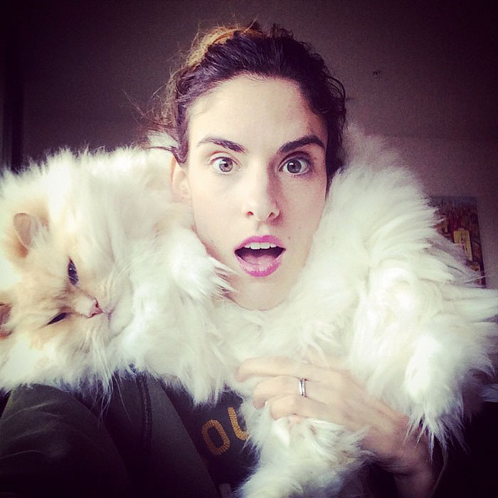 кот выглядит как пушистое облако 