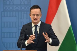 Венгрия просит отправить миссию ОБСЕ в Закарпатье