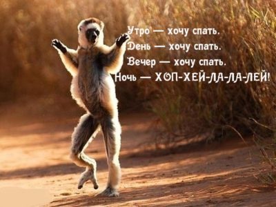 Смешно до слез, ржачные картинки с надписями Смешно до слез, ржачные картинки с надписями