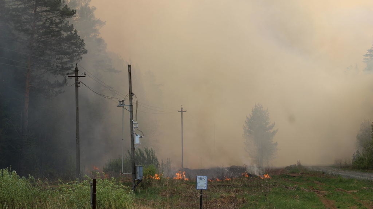 Риски самые высокие за 11 лет: в Прикамье произошел крупнейший за 6 лет лесной пожар