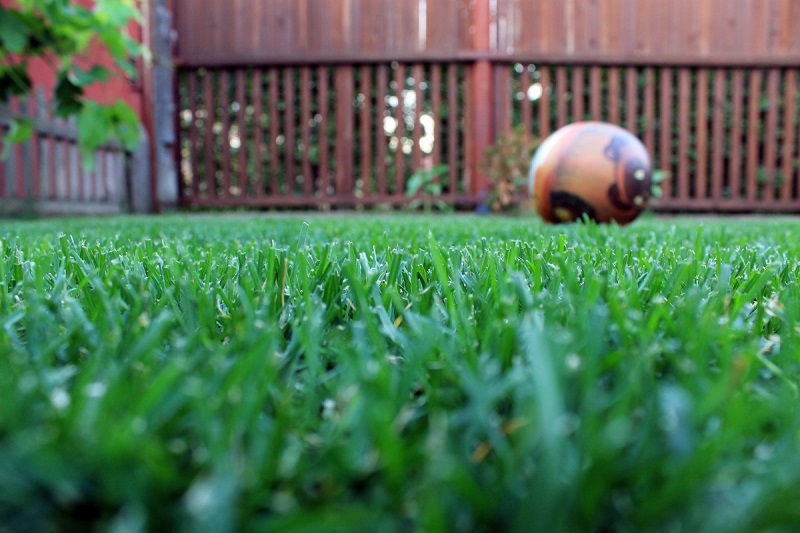 безопасные средства от сорняков