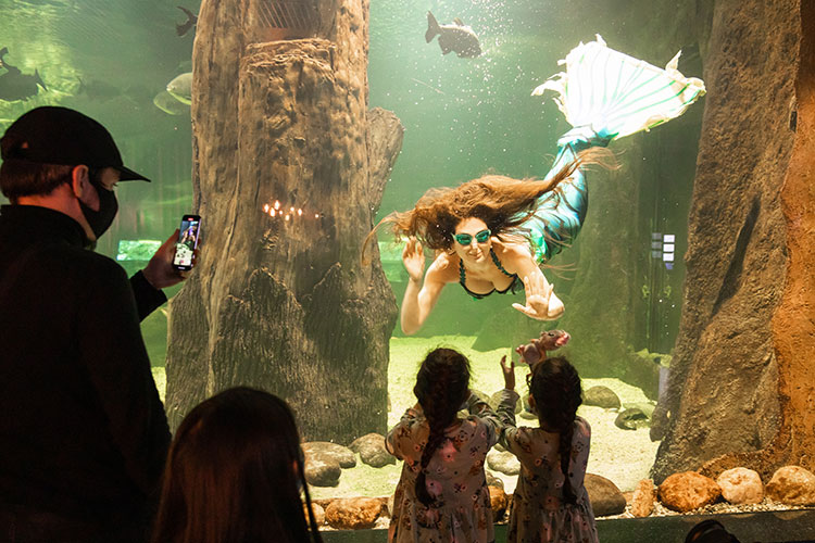 Павел Деревянко с женой и дочерьми, Анастасия Стоцкая и другие на премьере мюзикла с участием животных Павел Деревянко с женой и дочерьми, Анастасия Стоцкая и другие на премьере мюзикла с участием животных Звезды,Новости о звездах