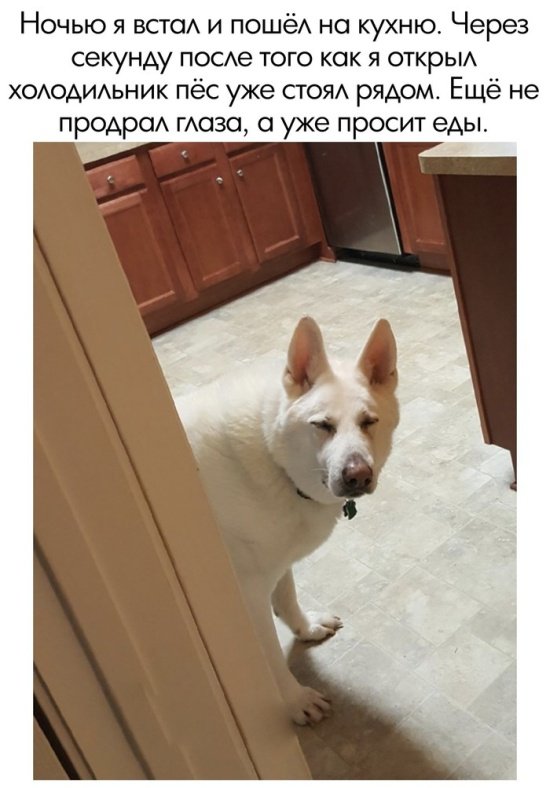 Фотоподборка пятницы  