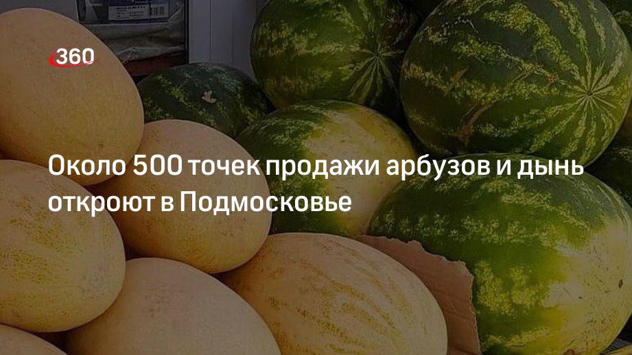 Около 500 точек продажи арбузов и дынь откроют в Подмосковье