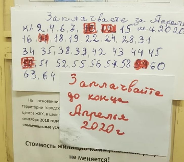 17 примеров того, что русский язык не всегда по зубам даже тем, кто говорит на нем с рождения 17 примеров того, что русский язык не всегда по зубам даже тем, кто говорит на нем с рождения позитив,смех,улыбки,юмор