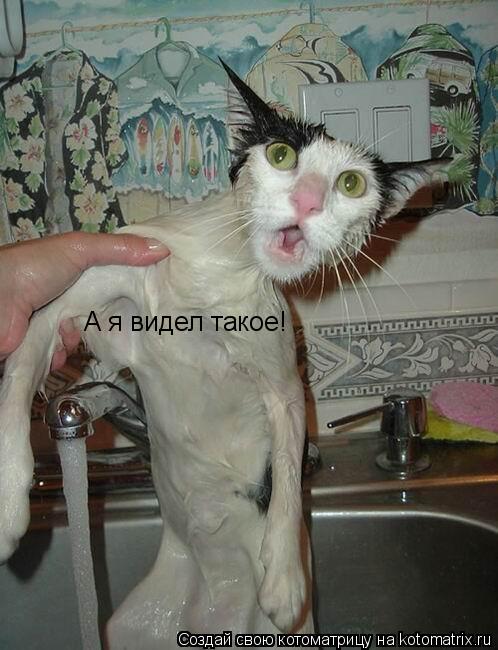 Уфф!!! Ну наконец-то! Котоматрицы великолепные, каждая с доброй улыбкой!!!