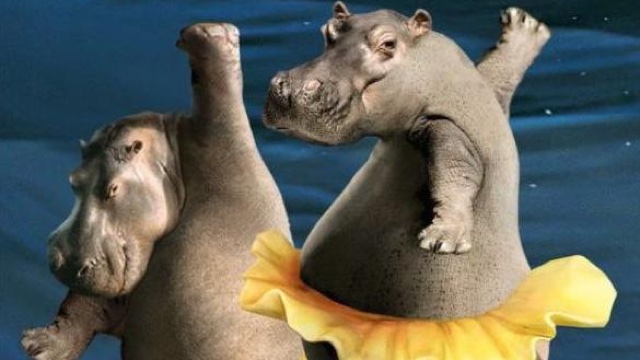 Умеет ли бегемот петь?